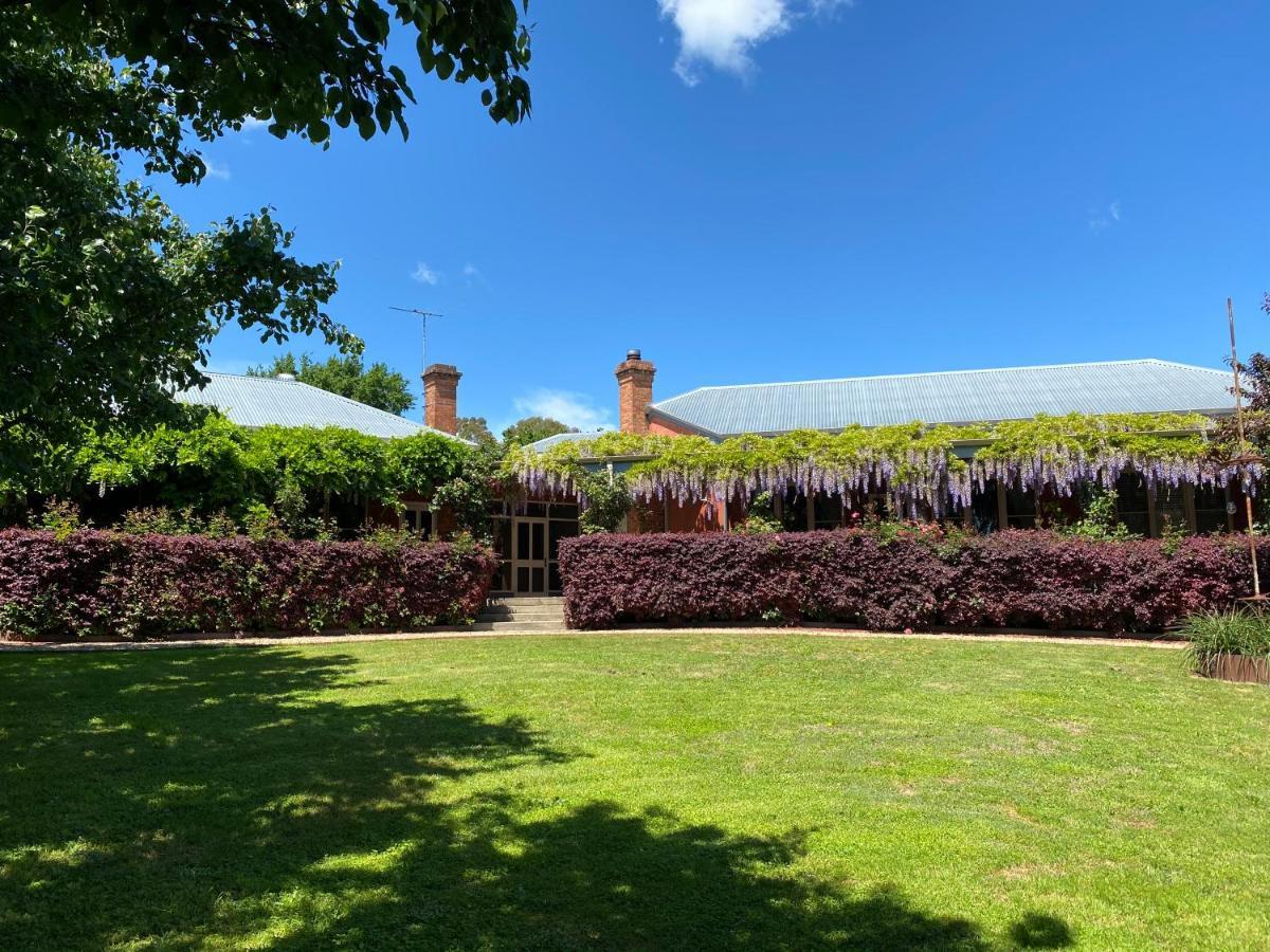 Twelve On Albert Beechworth Exteriör bild