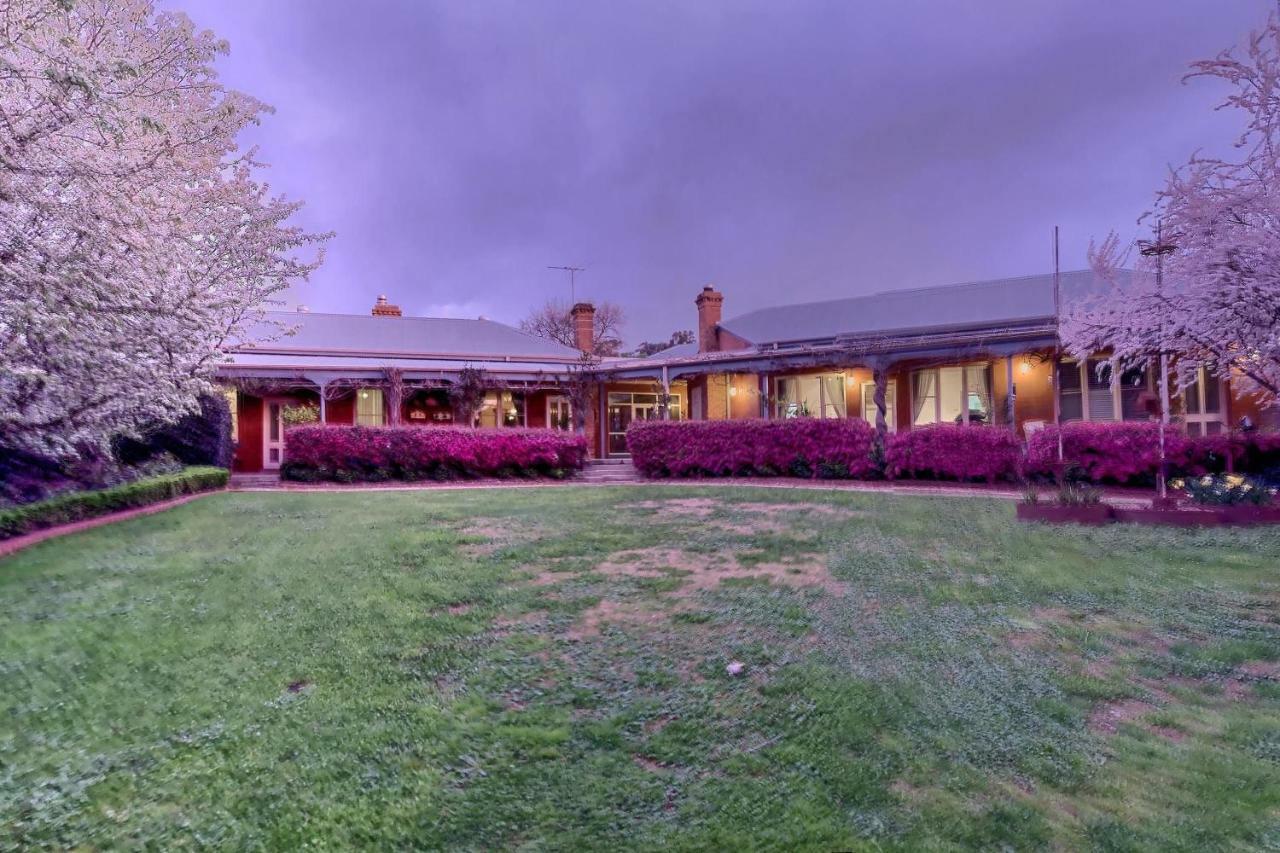 Twelve On Albert Beechworth Exteriör bild